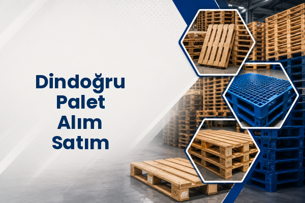 Dindoğru Palet Alım Satım 